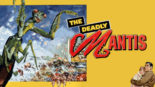 The Deadly Mantis