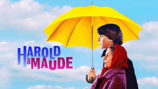 Harold and Maude