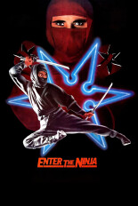 Enter the Ninja