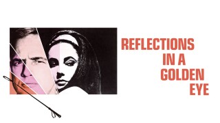 Reflections in a Golden Eye