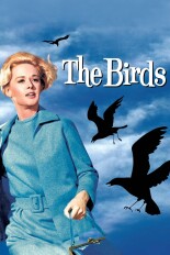 The Birds