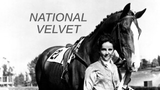 National Velvet