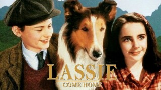 Lassie Come Home