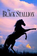 The Black Stallion