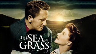 The Sea of Grass