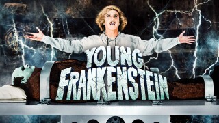 Young Frankenstein
