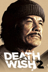 Death Wish II