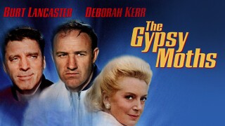 The Gypsy Moths