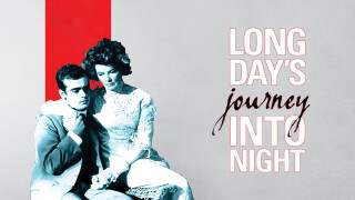 Long Day's Journey Into Night
