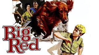 Big Red