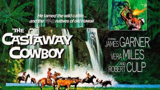 The Castaway Cowboy