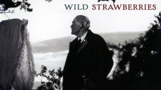 Wild Strawberries