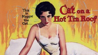 Cat on a Hot Tin Roof
