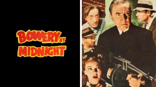 Bowery at Midnight