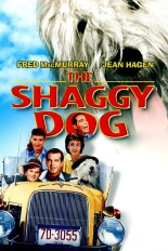 The Shaggy Dog