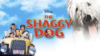 The Shaggy Dog