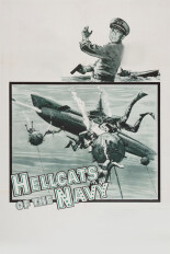 Hellcats of the Navy