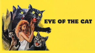 Eye of the Cat