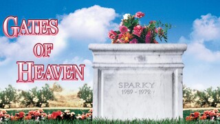 Gates of Heaven