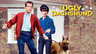 The Ugly Dachshund