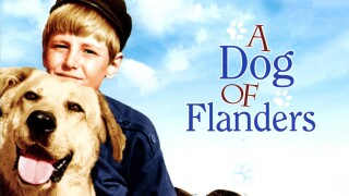 A Dog of Flanders
