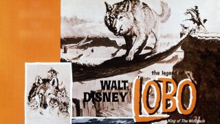 The Legend of Lobo