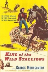 King of the Wild Stallions