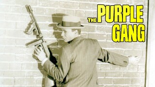 The Purple Gang