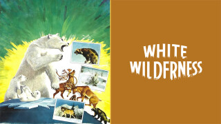 White Wilderness