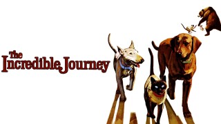 The Incredible Journey