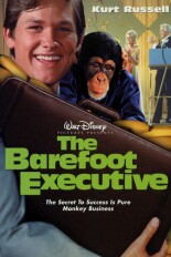 The Barefoot Executive