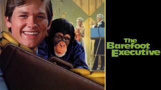 The Barefoot Executive