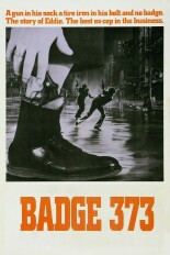 Badge 373