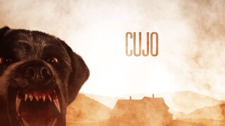 Cujo