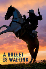 A Bullet Is Waiting