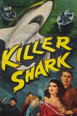 Killer Shark