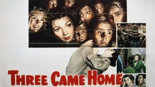Three Came Home