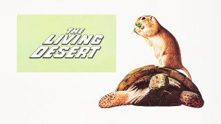 The Living Desert