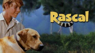 Rascal