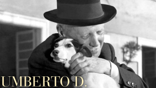 Umberto D