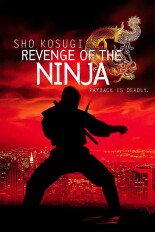 Revenge of the Ninja