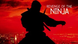 Revenge of the Ninja