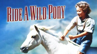 Ride a Wild Pony