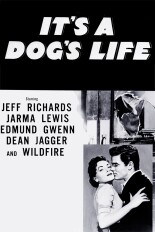 It's a Dog's Life