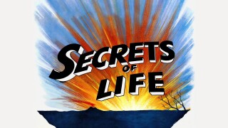 The Secrets of Life