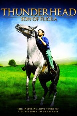 Thunderhead: Son of Flicka