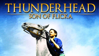 Thunderhead: Son of Flicka