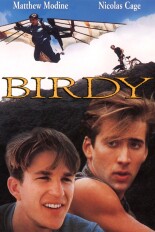 Birdy