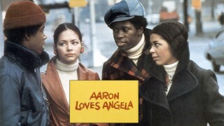 Aaron Loves Angela