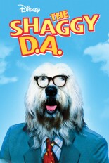 The Shaggy D.A.